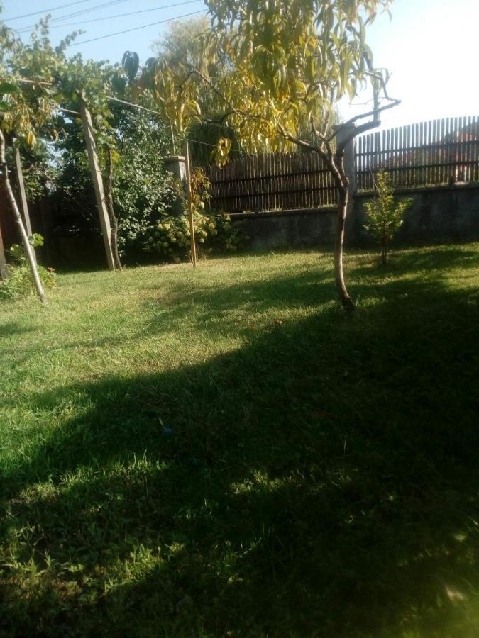 Къща За Гости Ягода Sapareva Banja Exteriér fotografie