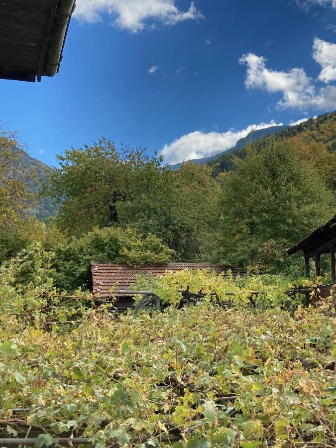Къща За Гости Ягода Sapareva Banja Exteriér fotografie
